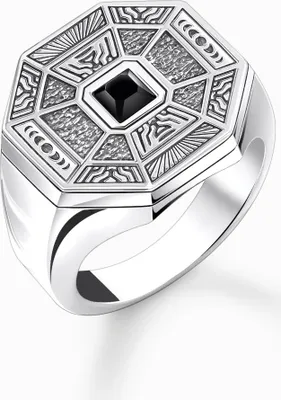 Produktbild von Thomas Sabo TR2431-507-11 Ring Herren Talisman mit schwarzem Onyx Silber Gr. 54