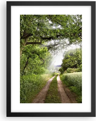 Produktbild von Gerahmtes Poster - Schwarzer Rahmen - Pfad Natur Wald Grün - 30x40 cm - Wand Bild - Wanddeko - Wandbilder - Kunstposter - Wandposter - Bilderrahmen - Bilder - Kunstdruck - Wandbild - P2BPA30x40-2637