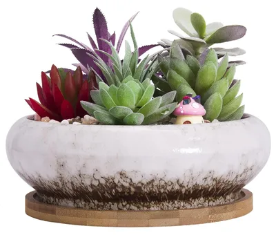 Immagine prodotto di Vaso in Vetroceramica grande per bonsai, con sottovaso - Bianco - 18,5 cm - Con foro di drenaggio