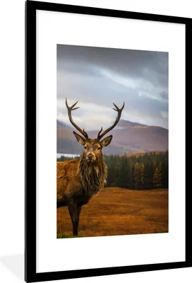 Produktbild von MuchoWow® Gerahmtes Poster Hirsche - Berge - Wasser - Landschaft - Tiere - Bäume 60x90 cm - Poster mit Schwarzem Bilderrahmen Wandposter Rahmen Foto Bilder - Dekoration - Wandposter Wohnzimmer - Hochwertig