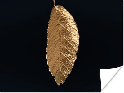 Produktbild von MuchoWow® Poster Blätter - Schwarz - Gold - Luxus - Natur 160x120 cm - Foto Plakat