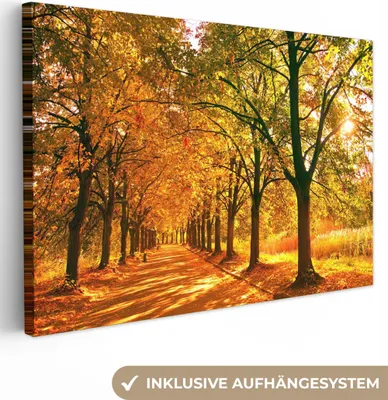 Obrázek produktu pro OneMillionCanvasses® - Plátno - Les - Podzim - Roční období - Venkov, nástěnná malba, nástěnné dekorace obrazy obývací pokoj, 90x60cm