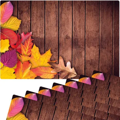 Produktbild von Abwaschbare Tischsets 8er Set Herbst-Laub Holz-Optik