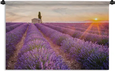 Produktbild von MuchoWow® Wandteppich Wandbehang Lavendel - Sonnenuntergang - Blumen - Lila 60x40 cm Tapisserie Dekoration Wandtuch - Wanddekorationen
