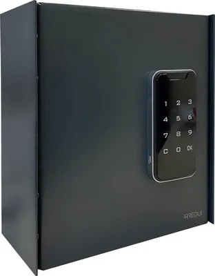 Immagine prodotto di Portachiavi con chiusura elettronica dotato di 14 ganci, con combinazione numerica, facile da montare, 22 x 20 x 10 cm, antracite