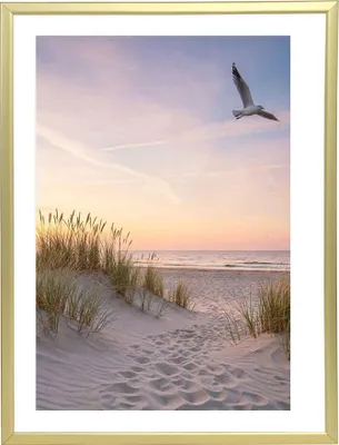 Produktbild von Bilderrahmen Fotorahmen aus Kunststoff Bilder Foto Posterrahmen Collage AC-6 - Farbe: Gold | Format: 30x40