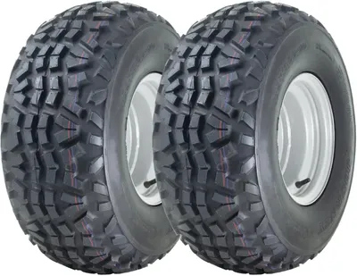 Immagine prodotto di Ruote per ATV 23x11.00-10 Wanda P3077 Utility, 4 strati, tubeless, 755 kg (set da 2)