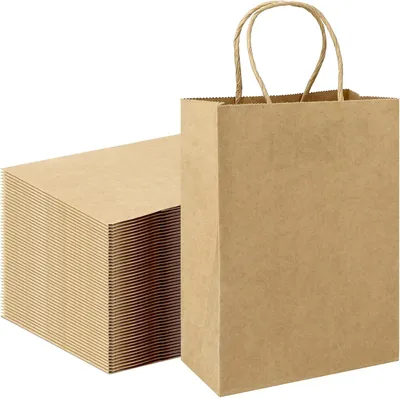 Produktbild von Papiertragetaschen mit Griff - 100 Stück - Geschenktüten - Papierbeutel - Weihnachten - Hochzeit - Geburtstagsfeier - 21x15x8 cm