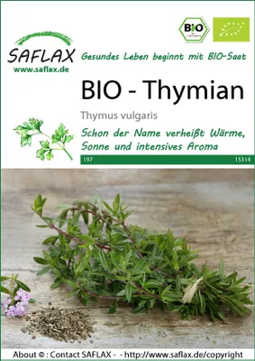 Artikelbild 1 von 'BIO Thymian' aus der Kategorie Thymiansamen