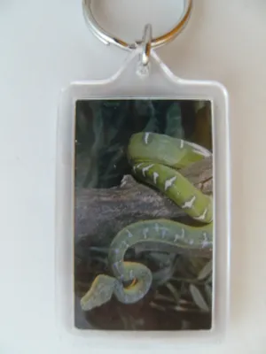 Produktbild von Schlüsselanhänger grüne Schlange, Tiere Tier Schlüsselring Rucksackanhänger Schlangen Reptilien