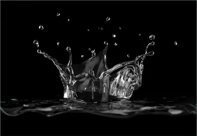 Produktbild von Wallario Fototapete Vliestapete, seidenmatte Oberfläche, einfache Verarbeitung, Größe 400 x 280 cm, Motiv Aufspritzendes Wasser Schwarz-Weiß