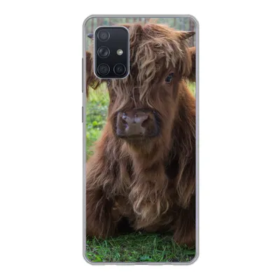 Produktbild von MuchoWow® Handyhülle Schutzhülle Hülle für Samsung Galaxy A51 Schottischer Highlander - Kröte - Tiere Silikon Softcase Handy Hülle - Schutzabdeckung