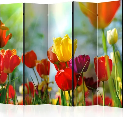 Produktbild von 5-teiliger Doppelseitiger Vlies Paravent - Spring Tulips II 225x172 cm Blumen b-B-0174-z-c