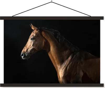 Produktbild von MuchoWow® Textilposter Pferd - Tiere - Nacht - Schwarz 150x100 cm mit schwarzem Rahmen - Schlafzimmer