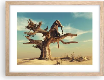 Produktbild von Gerahmtes Poster - Rahmen in heller Eiche - Sitzen Elefant Baum - 40x30 cm - Wand Bild - Wanddeko - Wandbilder - Wandposter - Bilderrahmen - Bilder - Kunstdruck - Wandbild - P2NAA40x30-4345