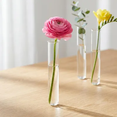 Produktbild von Glasröhrchen für Blumendeko und kreative Gestaltung
