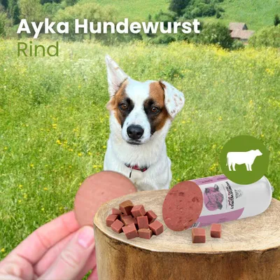 Produktbild von Ayka Hundewurst Rind 1 Stück 200g