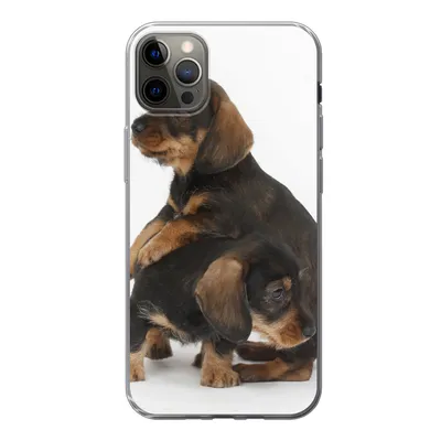 Produktbild von MuchoWow® Handyhülle Schutzhülle Hülle für iPhone 13 Pro Max Studiofoto von zwei süßen Dackeln Silikon Softcase Handy Hülle - Mobiltelefon