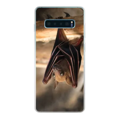 Produktbild von MuchoWow® Handyhülle Schutzhülle Hülle für Samsung Galaxy S10 Lite Baby - Fledermaus - Holz Silikon Softcase Handy Hülle - Schutz