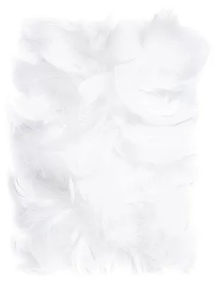 Obrázok produktu pre Dekoratívne biele pierka, 5–12 cm, 10 g