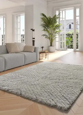 Produktbild von ATTICGO Hochflorteppich ATESA Shaggy in Silber, 120x170 cm