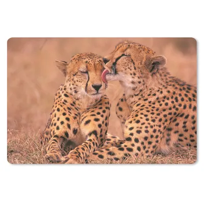 Produktbild von MuchoWow® Mauspad Mousepad Baby-Geparden 27x18 cm - Mousepads - Maus Mat - Pad - Mausunterlage - Büroartikel - Desk Matten
