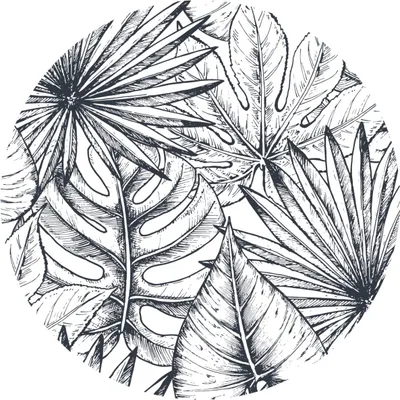 Produktbild von Sticker RUND graue tropische Blätter Pflanzen Natur Aufkleber Wandtattoo Wanddekoration für Büro Wohnzimmer 100 cm x 100 cm