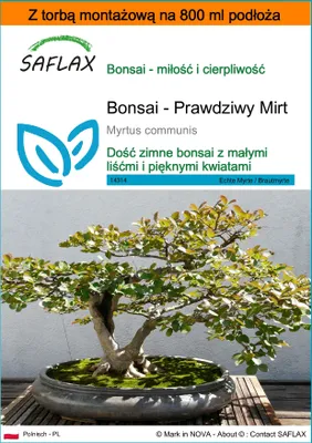 Zdjęcie produktu dla SAFLAX - Garden in the bag - Bonsai - Prawdziwy Mirt - 30 Nasiona - Z podłożem uprawowym w praktycznej, samorozkładającej się torbie - Myrtus communis