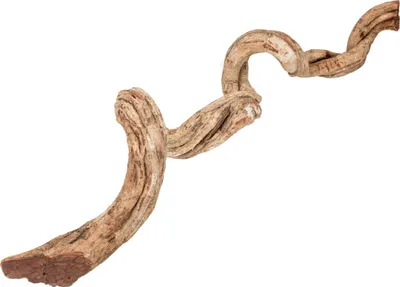 Produktbild von Cipo Rosca Liane, Länge ca. 100-150cm, Durchmesser ca. 10-15cm