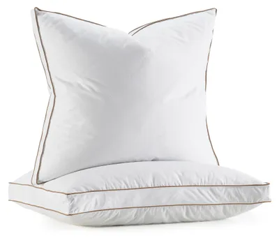 Immagine prodotto di Solidchoice - Set di 2 cuscini in piuma, 65 x 65 cm, ipoallergenici