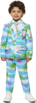 Produktbild von Flamingo Partyanzug Karneval Faschingskostüm Kinder Kindergröße: 110-116
