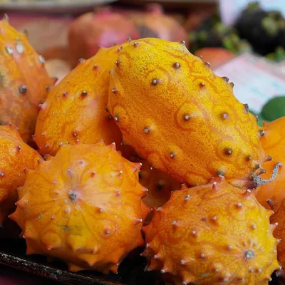 Image de Kiwano (Cucumis metuliferus)  - 10 graines