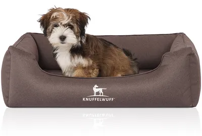 Produktbild von Knuffelwuff Orthopädisches Wasserabweisendes Hundebett Leon aus Velours mit Handwebcharakter M-L 85 x 63cm Graubraun