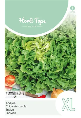 Produktbild von Endivie Bubikopf 2 | Endiviensalatsamen von Hortitops