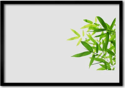 Produktbild von Bild 70x50 MDF-Rahmen Wandkunst Blätter Natur Pflanze