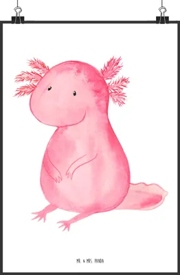 Produktbild von Mr. & Mrs. Panda Bild Axolotl Niedlich DIN A0 - Weiß - Geschenk, Axolot, Plakat, Kunstdruck, Weisheit, Liebe, wanddeko, Wandbild, Fröhlich, Freundin, drucke