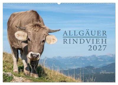 Produktbild von Allgäuer Rindvieh 2027 (Wandkalender 2027 DIN A2 quer), CALVENDO Monatskalender