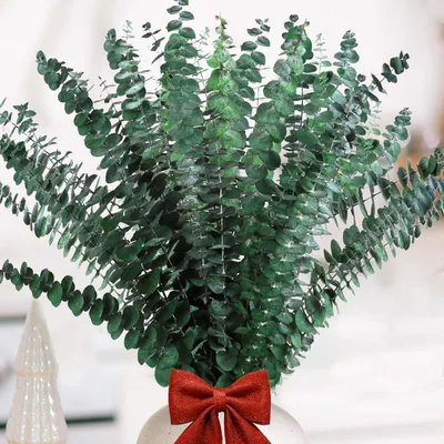 20 getrocknete Eukalyptuszweige, 43 cm, natürliche Trockenblumen
