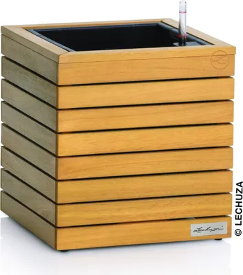 Produktbild von LECHUZA-Pflanzgefäß PALO Natural Wood 35 low Eukalyptusholz | mit Bewässerungssystem und Pflanzeinsatz | Echtholz | 34,5 x 34,5 x 37 cm | 16770