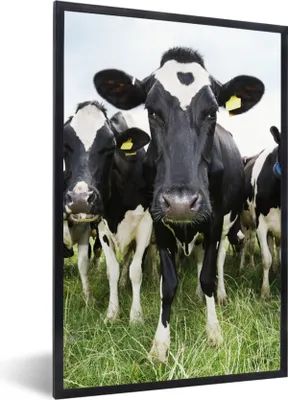 Produktbild von MuchoWow® Gerahmtes Poster Kühe - Gras - Frühling - Tiere - Wiese - Bauernhof 60x90 cm - Poster mit Schwarzem Bilderrahmen Wandposter Rahmen Foto Bilder - Kunst