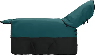 Productafbeelding van vidaXL Paardendeken, donkergroen en zwart, 105 cm, polyester