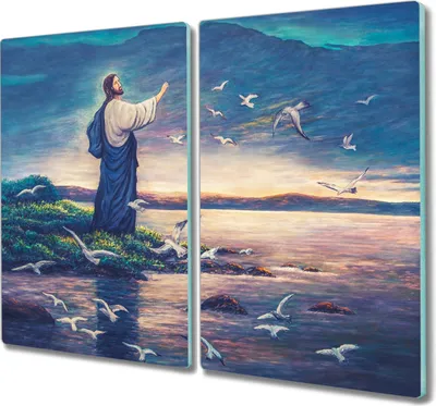 Produktbild von Coloray Herdabdeckplatte 2x30x52 cm Schneidebrett Kochplattenabdeckung Küchenbrett Hackbrett - Religiöse Seevögel