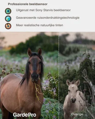 Productafbeelding van A5 wildcamera, 64MP 1296P H.264 video