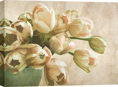 Obrázek produktu pro Obraz na plátně, Tulipány - Luca Villa, Moderní tulipány - 70x50 cm