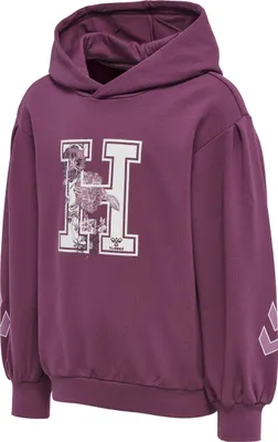Produktbild von Hummel hmlASTROLOGY HOODIE - amaranth, Größe:110
