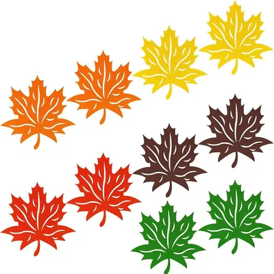 10 Platzsets Herbstblätter, 31,75 cm, für Tischdekoration