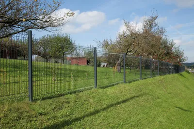 Produktbild von Zaunfeld Emu PRO 5/5 mm - Ausführung: anthrazit beschichtet, Höhe: 173 cm, Länge: 250 cm, Anzahl Sicken: 3