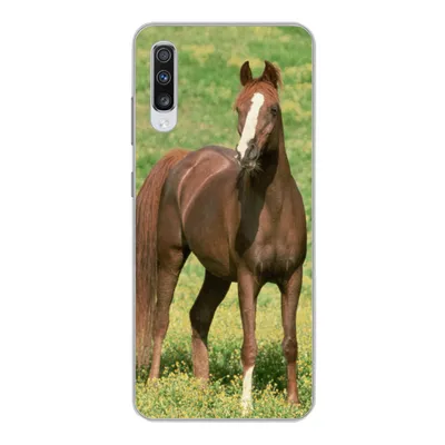 Produktbild von MuchoWow® Handyhülle Schutzhülle Hülle für Samsung Galaxy A70 Pferde - Gras - Braun Silikon Softcase Handy Hülle - Schutzhaube
