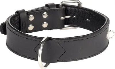 Produktbild von Flamingo Rondo Halsband genietet schwarz, Maße: 38-47 cm / 35 mm