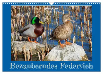 Produktbild von Bezauberndes Federvieh (Wandkalender 2027 DIN A3 quer), CALVENDO Monatskalender